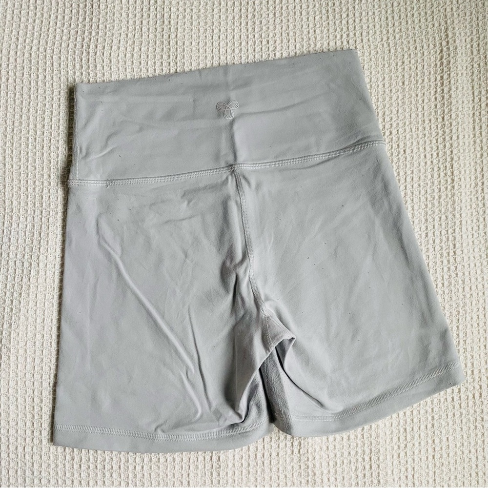 Aritzia Bikers Shorts